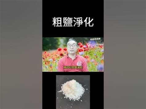 粗鹽淨化方法